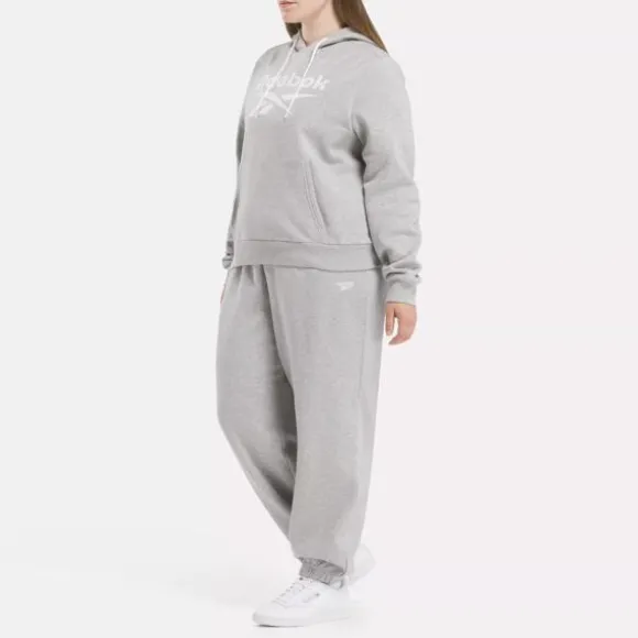 Plus Size (1x-4x) | Hoodies & Sweatshirts^Reebok Identity Big Logo Fleece Hoodie (Plus Size) MediumGreyHeather