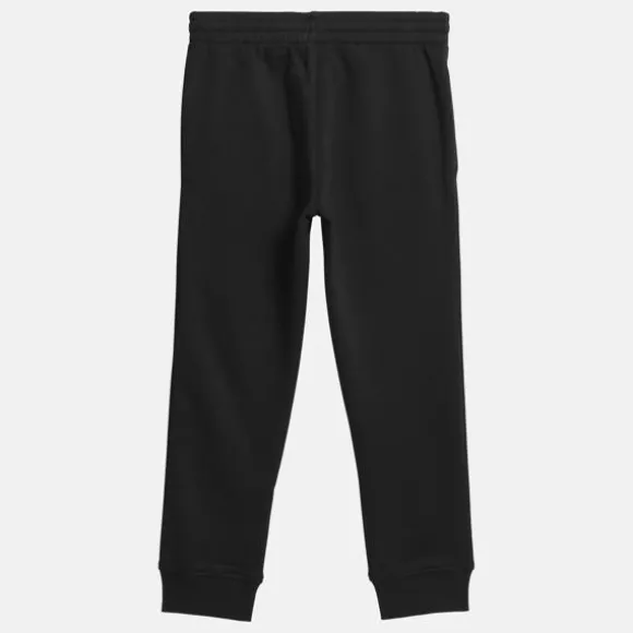 Little Kids' Clothing (sizes 4-7) | Little Kids' Shoes (sizes 10.5k-3)^Reebok Identity Jogger Pants - Little Kids BLACK