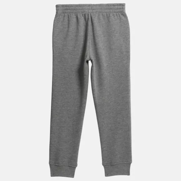 Little Kids' Clothing (sizes 4-7) | Little Kids' Shoes (sizes 10.5k-3)^Reebok Identity Jogger Pants - Little Kids MediumHeatherGrey